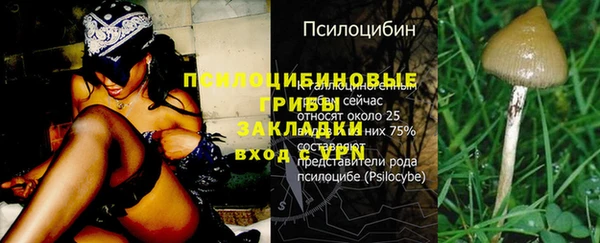 прущие грибы Нефтегорск