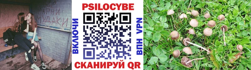 Галлюциногенные грибы мухоморы  купить закладку  Воронеж 