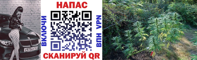 Конопля AK-47  kraken зеркало  Воронеж 